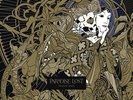 Paradise Lost - Tragic Idol
