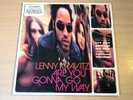 EX/EX-   Lenny Kravitz/Are You Gonna Go My Way/1993 Virgin LP & CD/Clear Vinyl