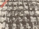 Stiff Little Fingers(7