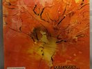 DOLDINGER'S MOTHERHOOD - Vinyl LP - First Press 1970 - LBS 83426 I - Lindeneberg