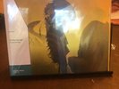 The Flaming Lips The Soft Bulletin VinylMePlease SEALED Mustard Yellow Vinyl