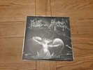 Blut Aus Nord 