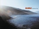 Morning View [LP] by Incubus (Vinyl, Jan-2013, 2 Discs, Legacy)