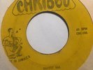 COUNT LASHA - dalvey gal b/w perserverance - CARIBOU RARE REGGAE MENTO
