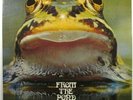Froggie Beaver  Private Pressing  From the Pond 7301  Nebraska Psych Progressive