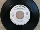 Northern Soul:Sharon Scott   Could It Be You   RCA Victor 8907 promo