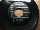 Dave Flanery Tears Someday Baby Skoop 1055 1963 Rock & Roll Original 45