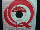 THE HAUNTED  1-2-5 / GARAGE PUNK 45 RARE CANADIAN QUALITY