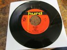 ANDY & THE CLASSICS Wilma 45 HURD frat rock garage VG+ plays well