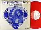 Bro. Valentino - Stay Up Zimbabwe 12