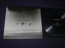 Cigarettes After Sex - Cry SIGNED/AUTOGRAPHED Clear Vinyl/Record LP