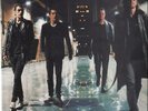 The Wildhearts Endless Nameless NEAR MINT Mushroom Vinyl LP