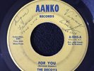 Rare Doo Wop 45 THE DECOYS “For You/  I Want Only You” AANKO original Girl Group