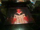 Phish The Story Of The Ghost NM Vinyl LP Record with Insert Original Release