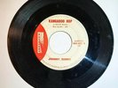 INFINITY 002 SURF ROCK AUDITION JOHNNY ZORRO BONGO GUITAR KANGAROO HOP