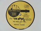 TRISTON PALMER  No Shot Nah Fire PMM Rub a Dub Reggae 12