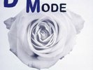 Depeche Mode ?Remixes Mute  2× Vinyl 12