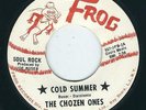 NY Garage - The Chozen Ones FROG 867 Cold summer / How many times ?