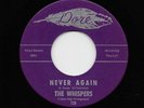 Whispers - Never Again / Slow Jerk (Soul, 45) 729