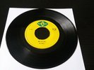 JOE WHITE - Way Of Life b/w I'm So Proud - Blue Cat 7