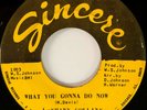 Northern Soul 45 / LaSHAWN COLLINS / What You Gonna Do Now / SINCERE 1004 / HEAR