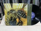 Le Orme Piccola Rapsodia Dell' Ape 1980 Philips Italy prog rock banco goblin pfm