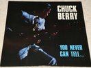 CHUCK BERRY You Never Can Tell SCARCE ORIG UK 1964 EX++ MONO LP, HARDLY PLAYED.