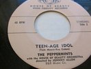 The PEPPERMINTS RARE DETROIT R&B SOUL/DOO-WOP 45 HOB Lee Rogers/Duke Browner