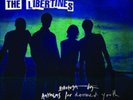 THE LIBERTINES : ANTHEMS FOR DOOMED YOUTH : BRAND NEW & SEALED 180G VINYL LP