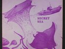 WILL JIMA: The Secret Sea LP (4