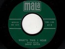 DOOWOP/TEEN/ROCKABIILY-DAVID GATES (BREAD)-WHAT'S THIS I HEAR/YOU'LL BE MY BABY