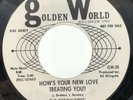 THE DEBONAIRES How’s Your New Love Treating / Big Time Fun GOLDEN WORLD Detroit