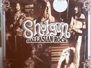 SHOTGUN - DALLASIAN ROCK 74-76 REMASTRD DALLAS BLUES ROCK RIFFAGE LTD EDT #31 LP
