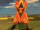 David Bowie Earthling Vinyl LP