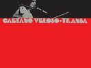 Caetano Veloso - Transa Vinyl LP Elemental NEW