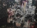 La Dispute - Wildlife 2 x LP - Colored Vinyl Record SEALED Album