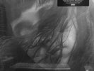 Waxahatchee - Out In The Storm 2 x LP - Colored Vinyl Record SEALED Album