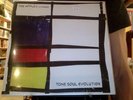 The Apples in Stereo Tone Soul Evolution LP sealed vinyl reissue