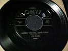 RARE BLACK GROUP VOCAL/DOO-WOP/CALYPSO SKA 45 The DALES Original on ONYX Hear