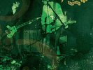 DEAD MEADOW-Feathers VINYL NEW