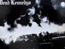 DEAD KENNEDYS - FRESH FRUIT FOR ROTTING VEGETABLES LP - IN VERY GOOD CONDITION