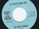 OH Psyck Rock - The Wild Things BLUE ONION 101 I'll taste your lips / Summer's ?