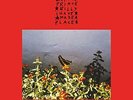 Bonnie ``Prince`` Billy-I Made A Place VINYL NEW