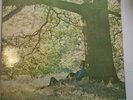 Play In The Dark by Yoko Ono/Plastic Ono Band Lp Record SAPCOR 17 (1970, Apple)