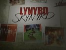 Lynyrd Skynyrd Vinyl Box Set (Rare)