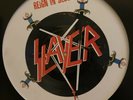 SLAYER, Reign In Blood Picture Disc Metal Vinyl Lp Metallica Megadeth