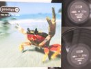 2LP PRODIGY Fat Of The Land XLLP121 XL UNITED KINGDOM Vinyl