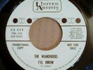The Wanderers I'll Know / Can't Run Away From Me 45 Northern Soul Ray Pollard
