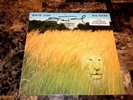 White Lion Mike Tramp Rare Signed Big Game Promo Vinyl LP Record Free Shipping
