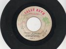 Panama Soul 45 The Dynamic Exciters - Children of the night on Sally Ruth HEAR